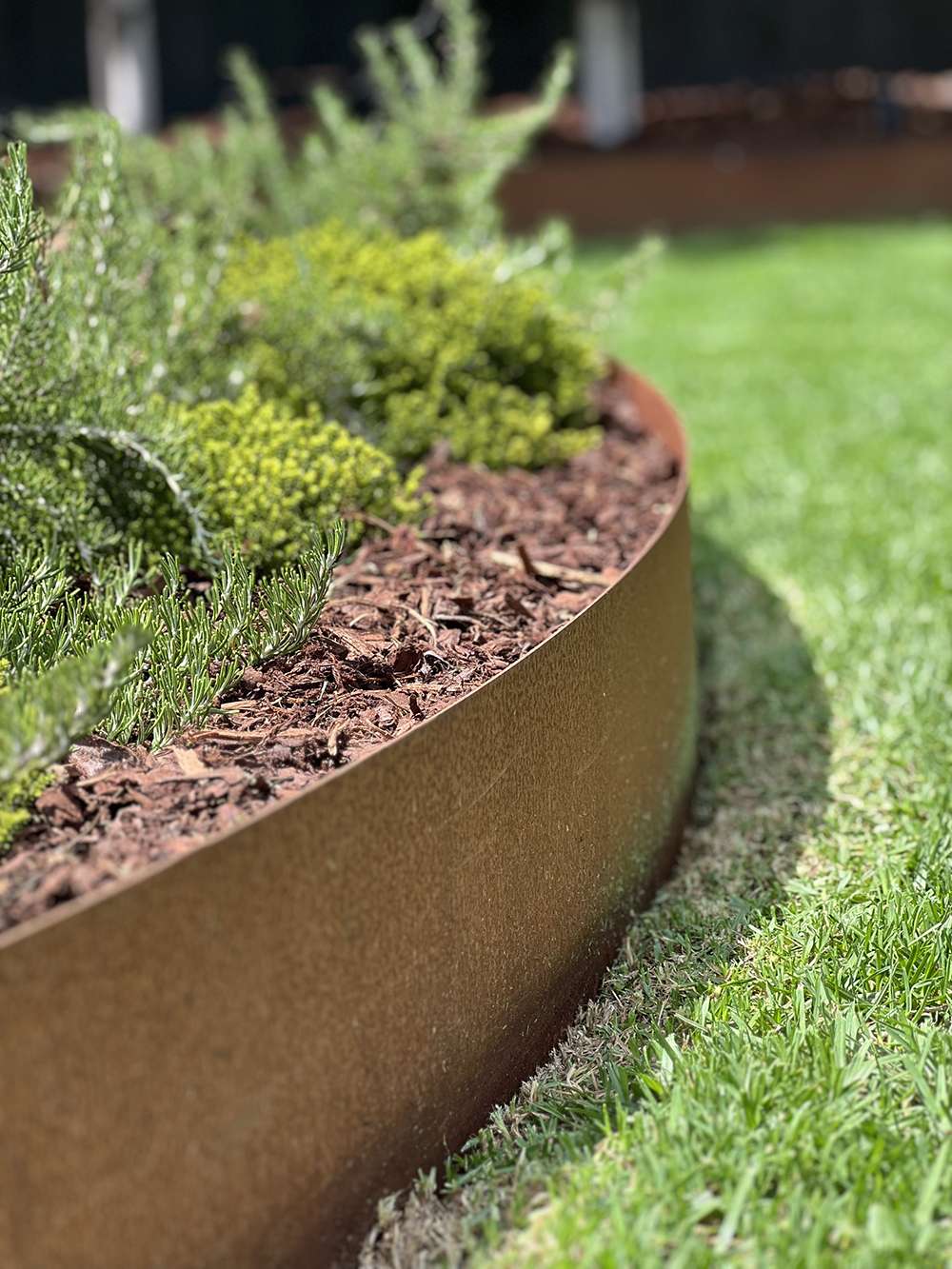 curved edge of corten steel planter with lush planting.