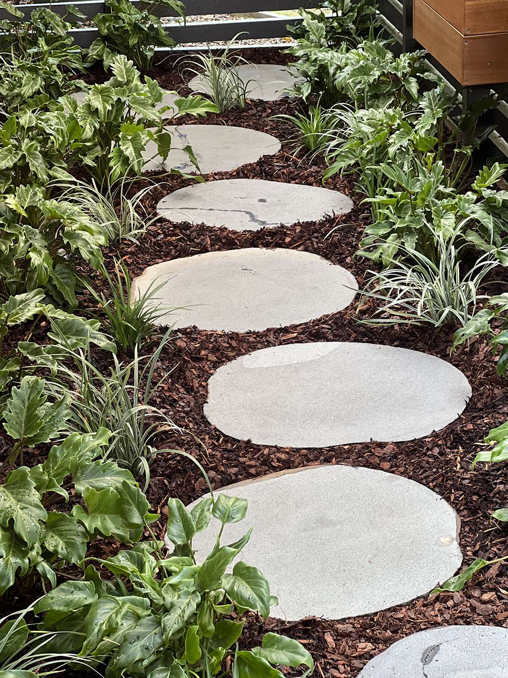 Round paving stones in newly planted garden