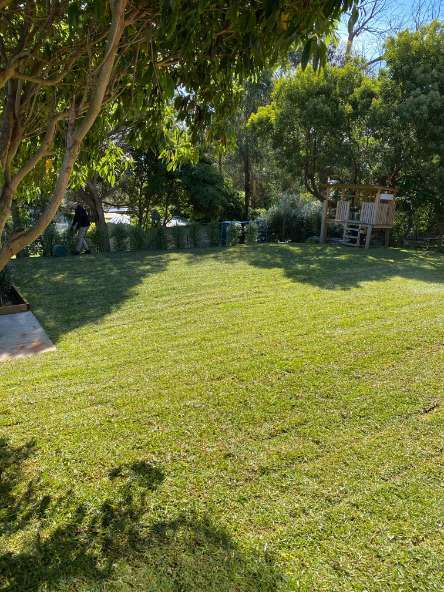 Lush lawn Mount Eliza