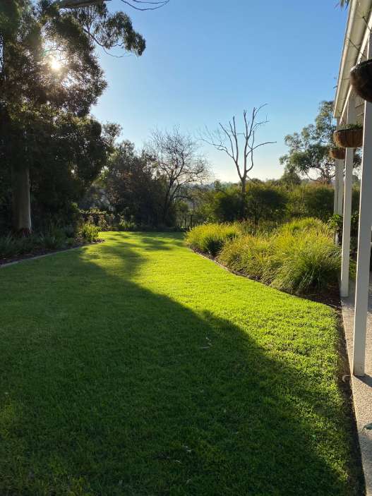 Lush lawn Mount ELiza