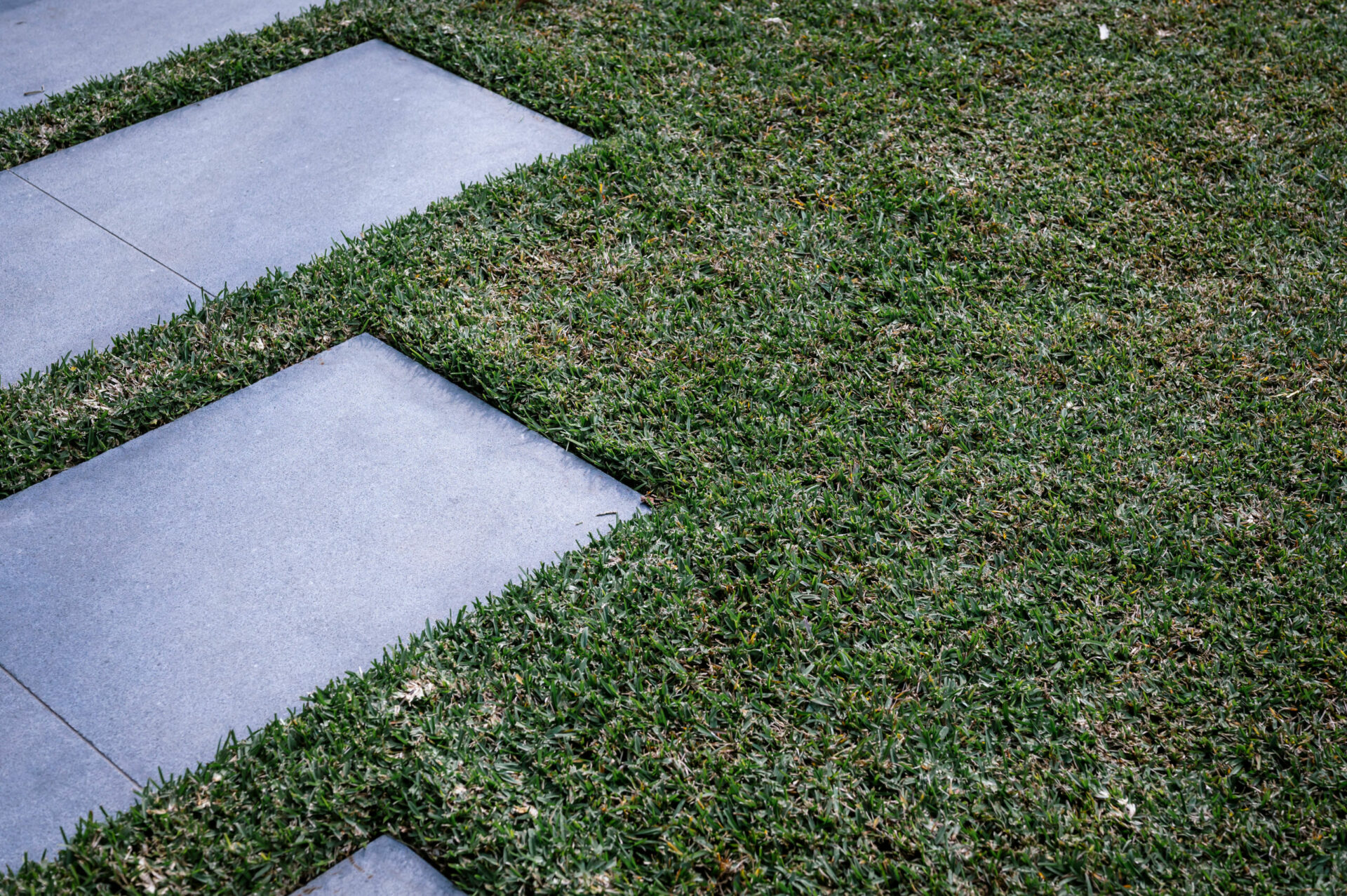 Oblong paving stones in lawn