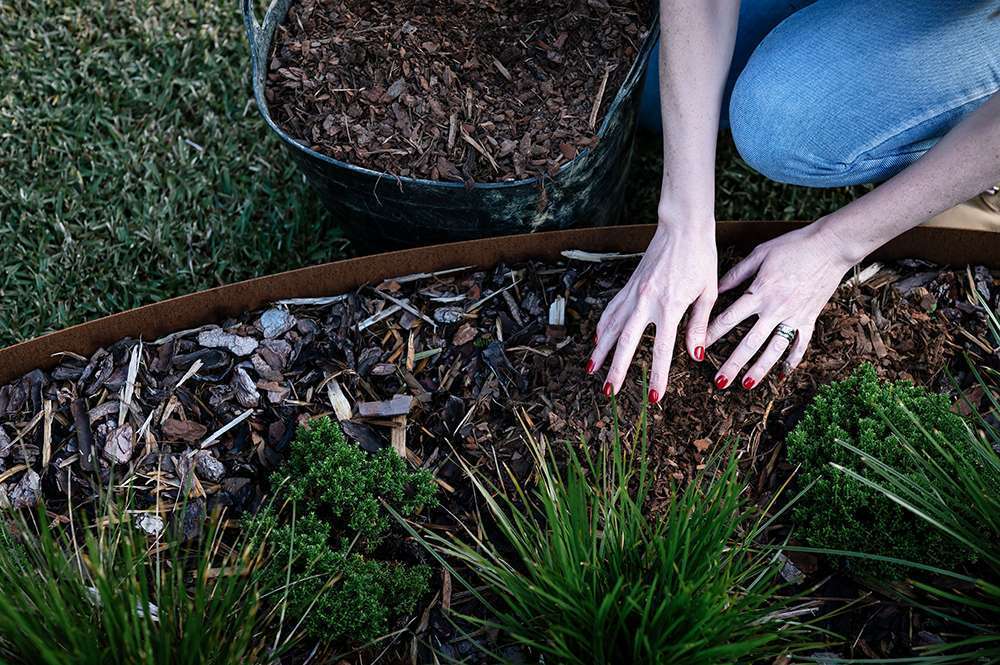 Mulching in garden