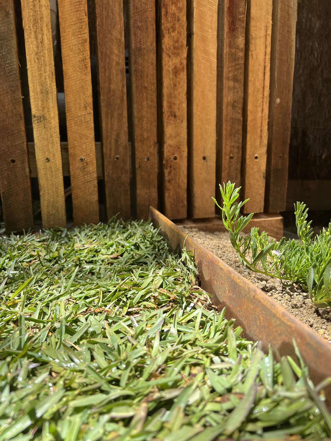 Corten Steel Garden edging, lawn and fence