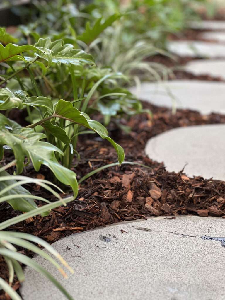 Courtyard landscaping