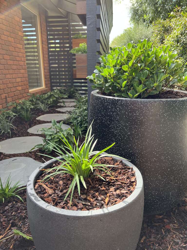 Courtyard landscaping