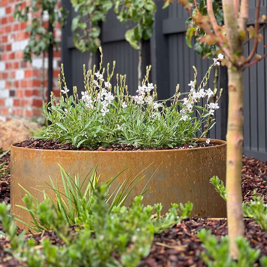 Flowers in round Corten Steel planter