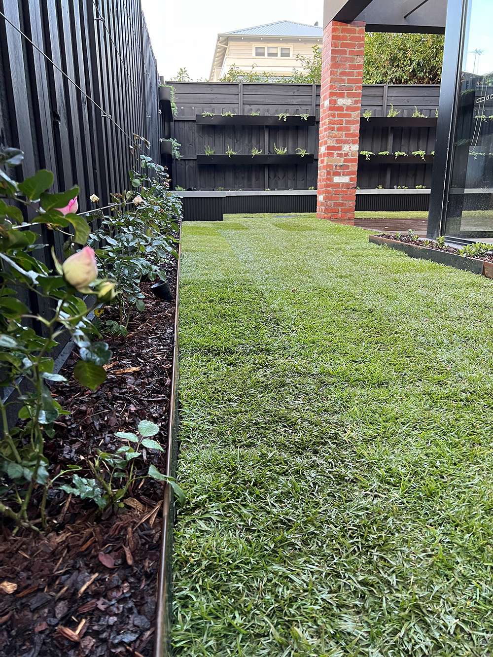 Newly landscaped garden with lawn and planted edges.