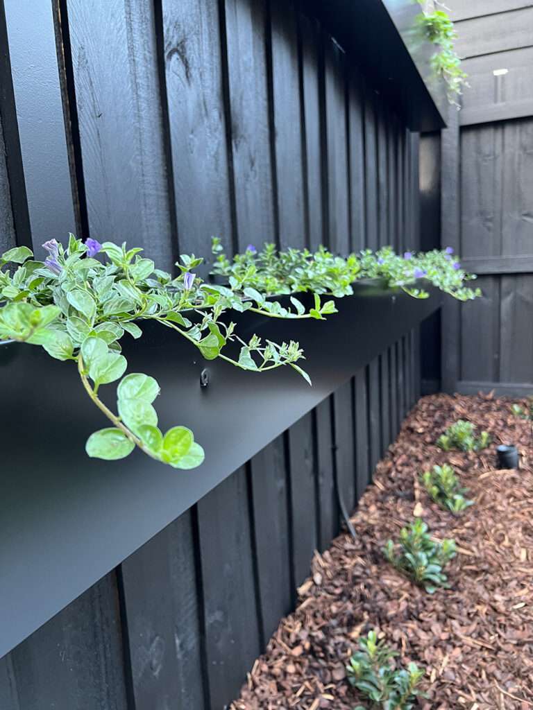 Courtyard landscaping makeover