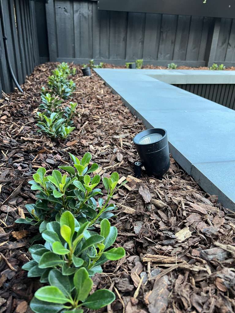 Courtyard landscaping makeover