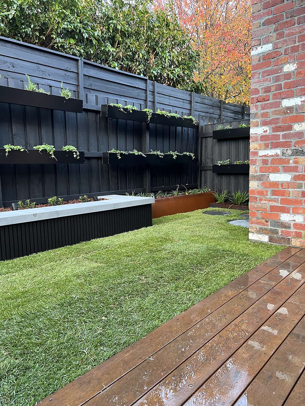 Newly landscaped garden with lawn and planted edges.