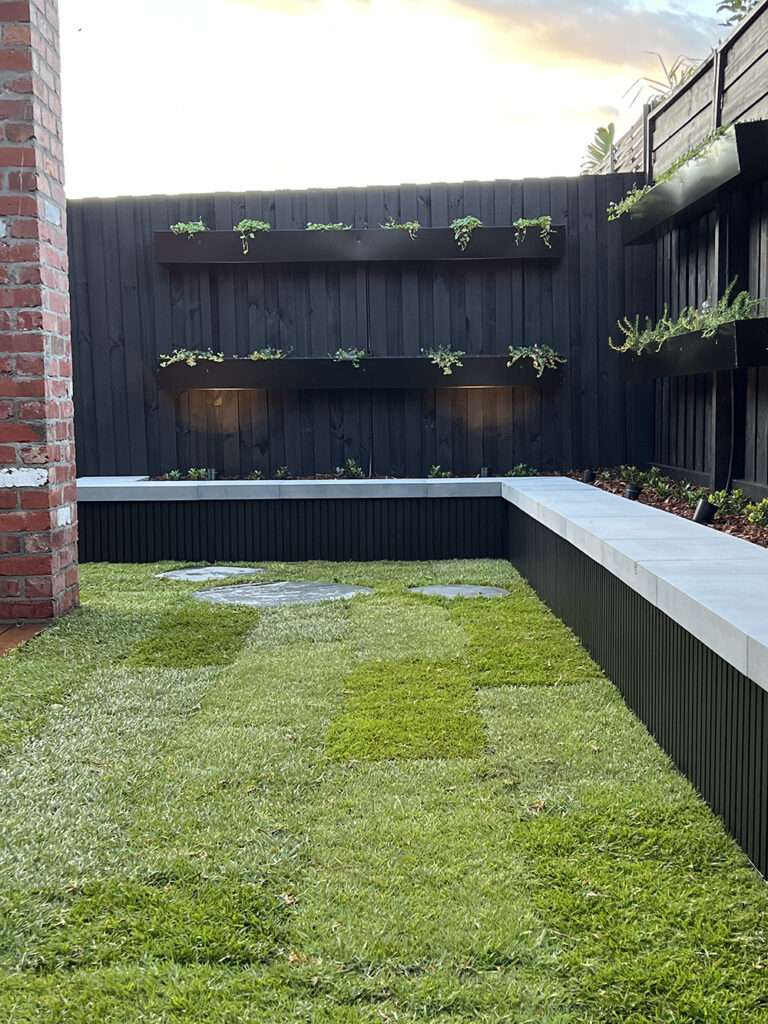 Newly landscaped garden with lawn and planted edges.