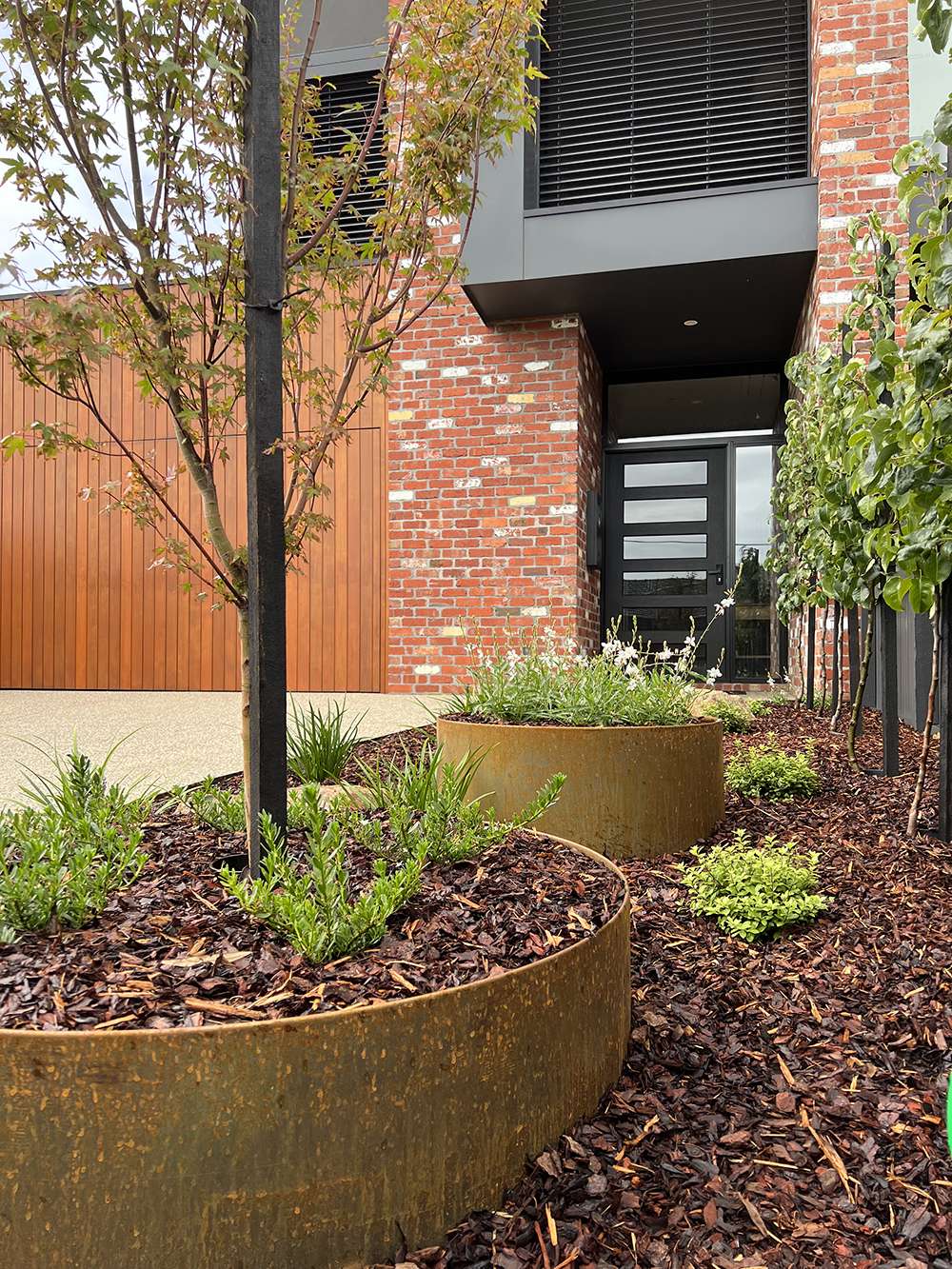 Entrance to townhouse with newly planted garden and Corten Steel planters