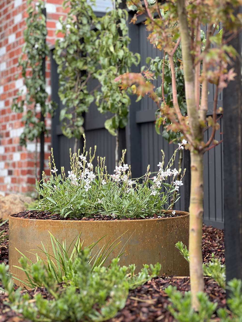 Flowers in round Corten Steel planter