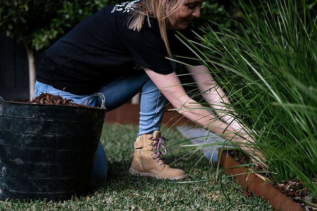 Shae weeding and mulching plants